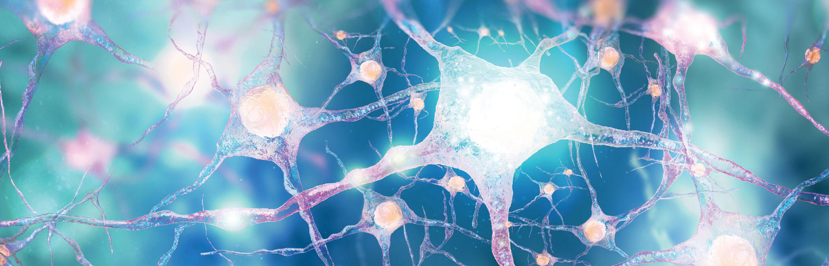 graphic illustration of brain neurons