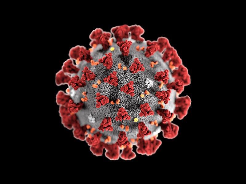 picture of a virus cell